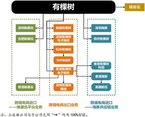 有棵樹836586.OC 深度布局跨境電商全產業鏈，打造全球商品流通體系與極速跨境ERP
